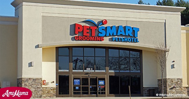 PetSmart faces animal abuse allegations after at least four dogs died in the store's custody