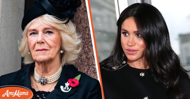 Duchess Camilla at the National Service of Remembrance on November 8, 2020, in London, England, and Duchess Meghan at New Zealand House on March 19, 2019, in London, England. | Source: Pool/Samir Hussein/WireImage & Neil Mockford/GC Images/Getty Images