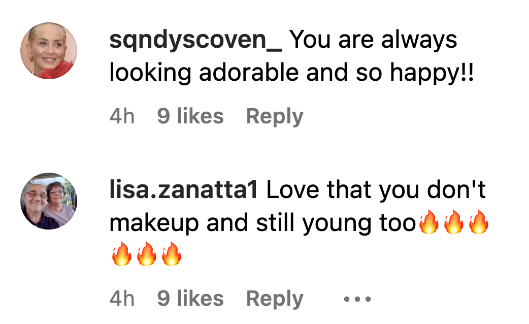 A positive comment on Sharon Stone's Instagram post. | instagram.com/sharonstone