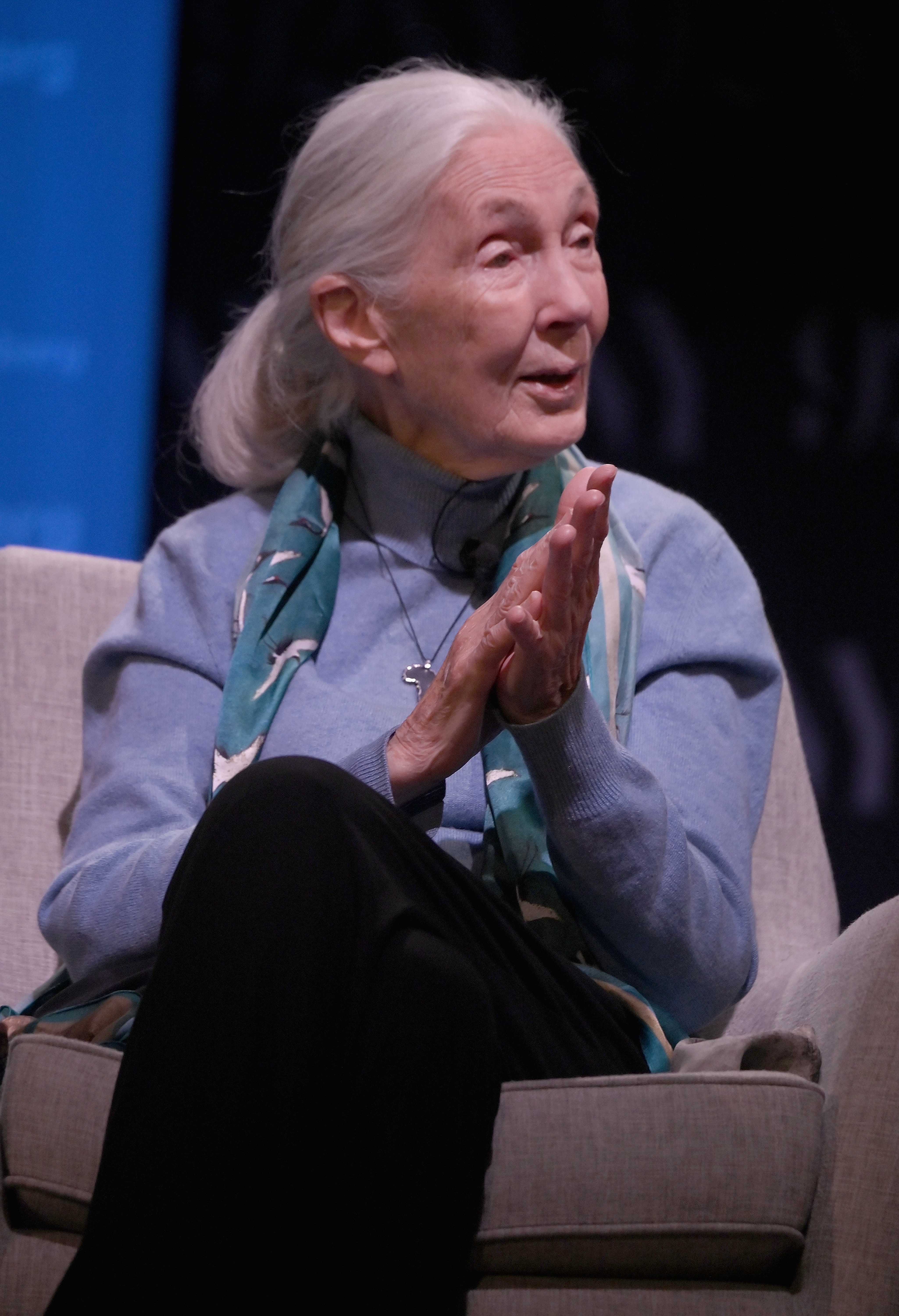 Dr. Jane Goodall speaking at the Dr. Jane Goodall in conversation with David Rubenstein event in New York City on October 1, 2023 | Source: Getty Images