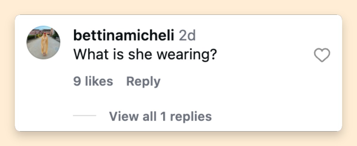 A social media comment added to the online discussion about a wedding guest's fashion choice. | Source: Instagram/justjared