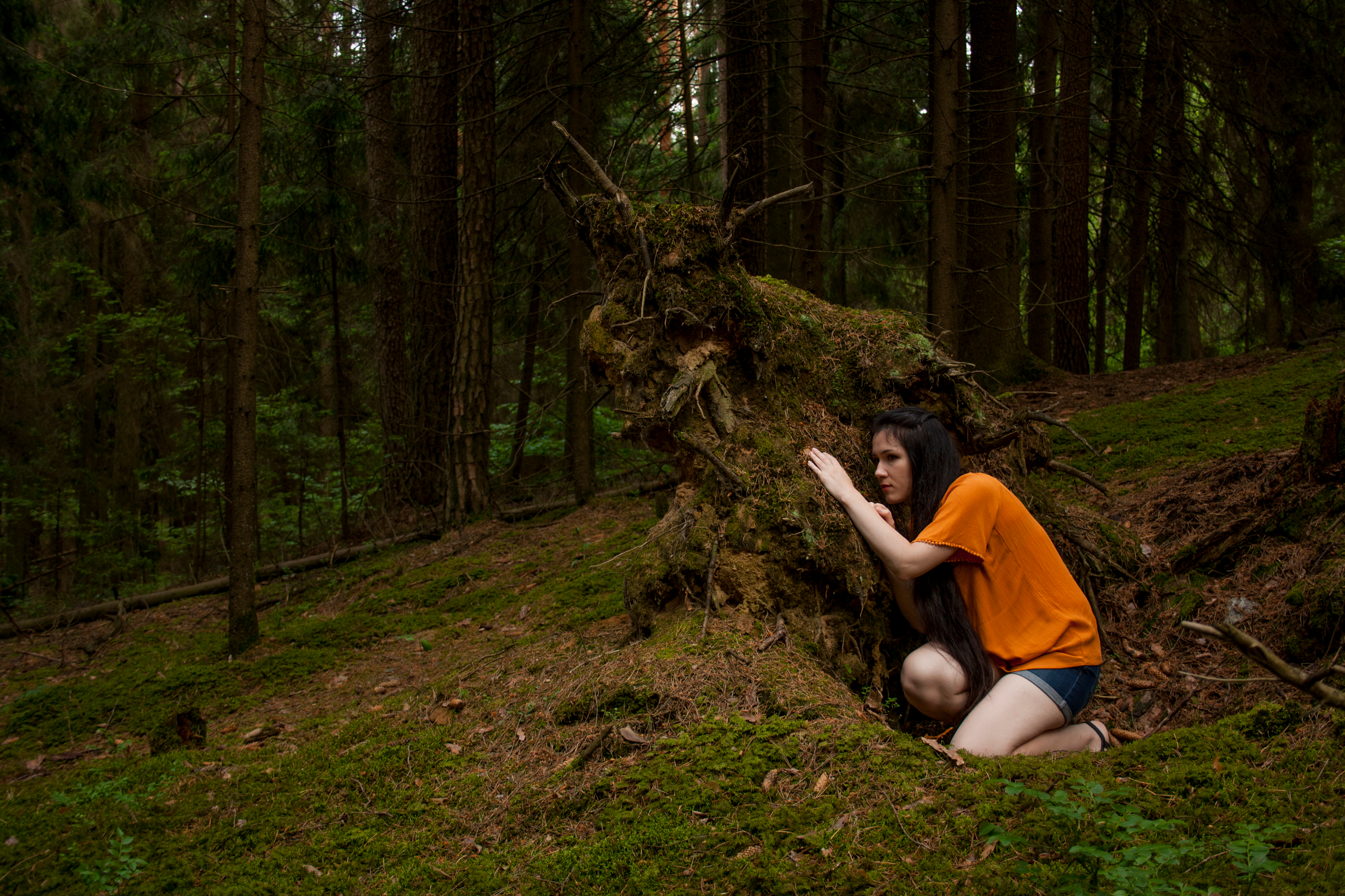 Young scared girl hiding in a forest behind a fallen tree | Source: Shutterstock.com