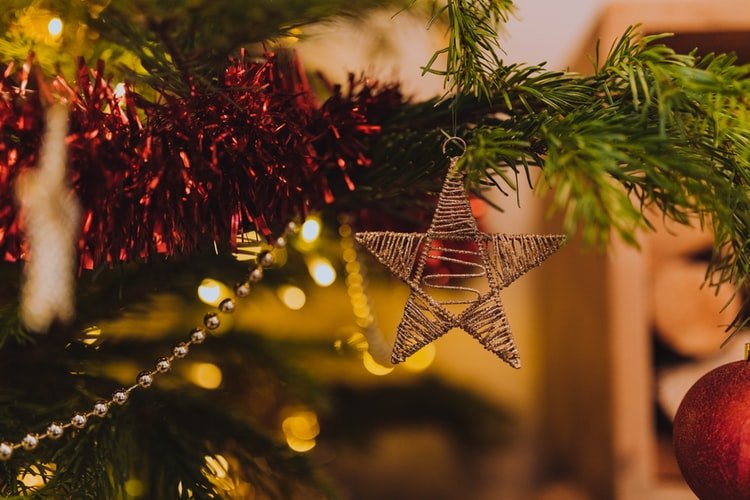 Un sapin de noël. | Photo : Unsplash