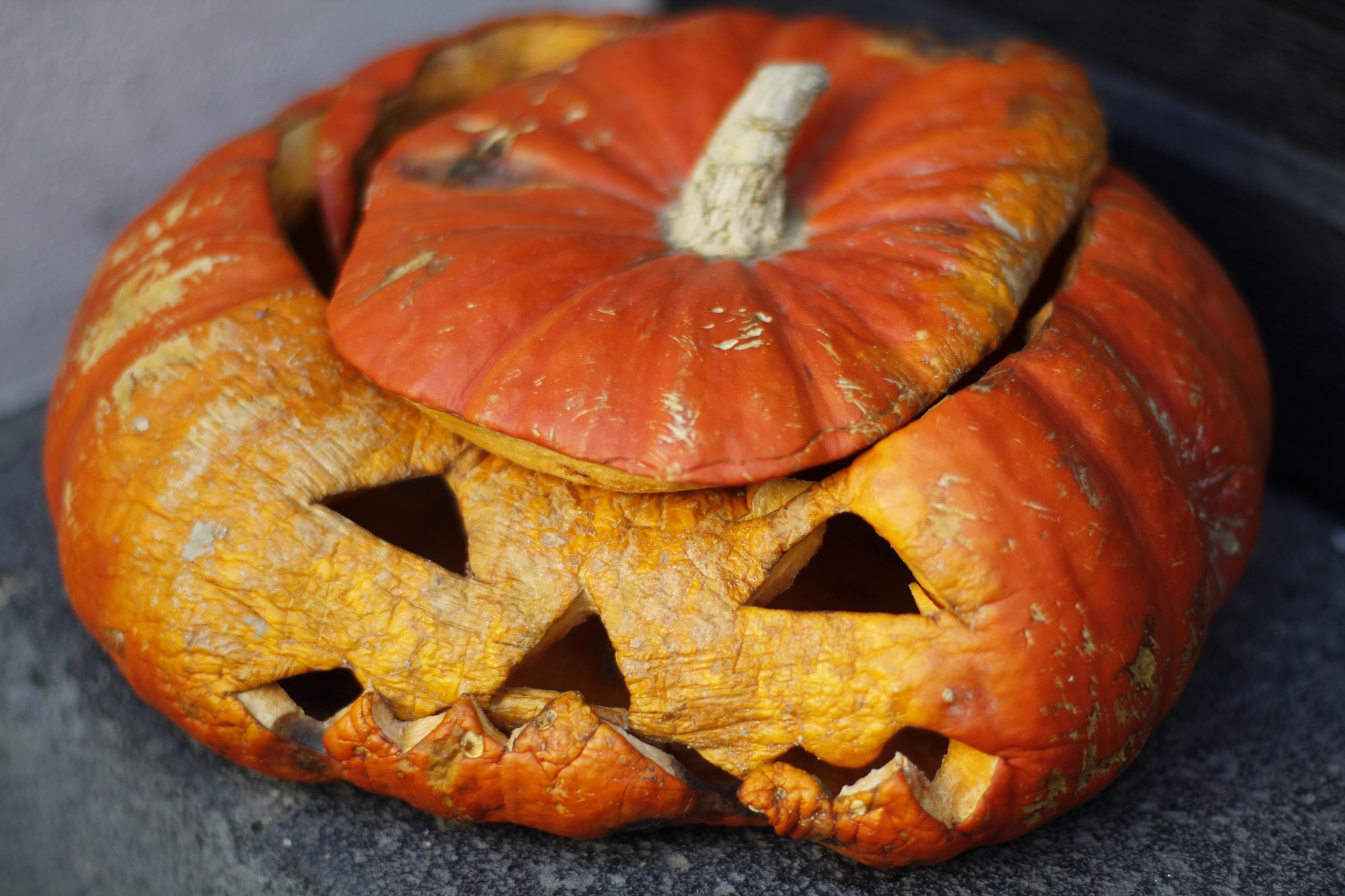 A decaying jack-o'-lantern | Source: Getty Images
