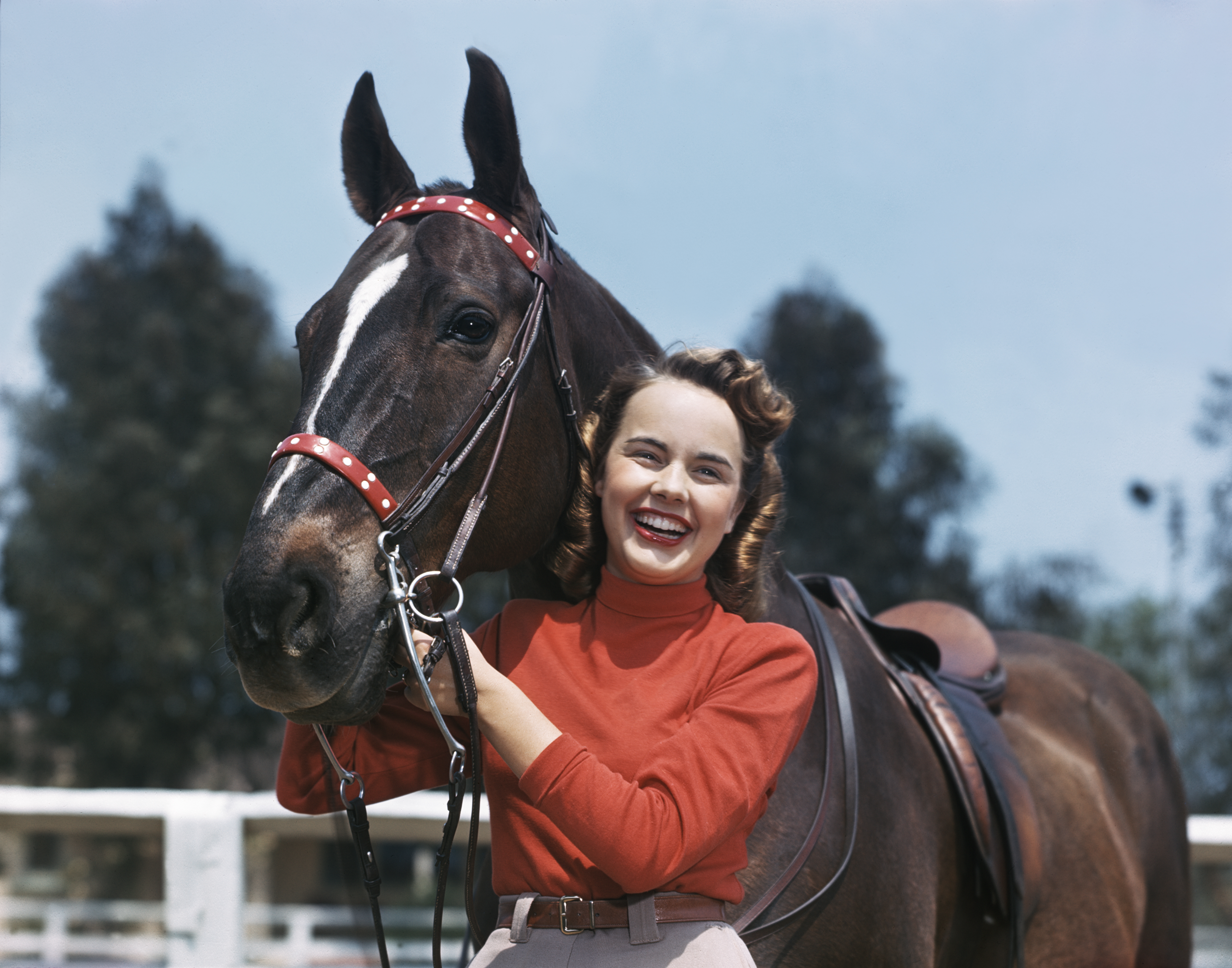 Terry Moore poses with her horse in Los Angeles, 1950 | Source: Getty Images