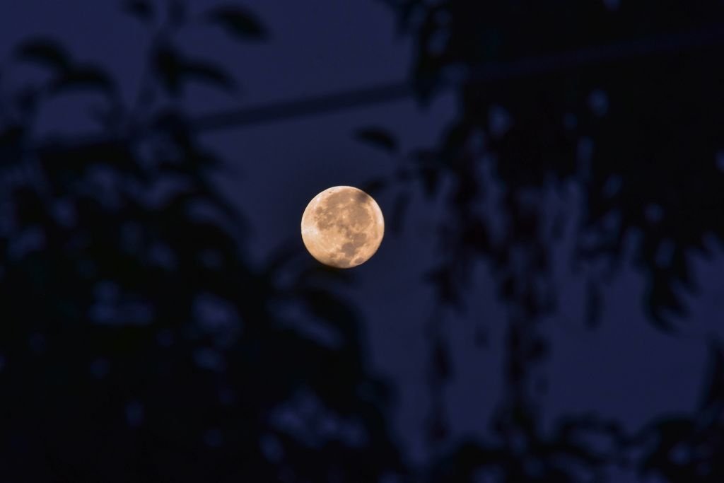 The Harvest Moon that occurs every September, and aligns with the Autumnal Equinox was captured on September 26, 2018 | Photo: Getty Images