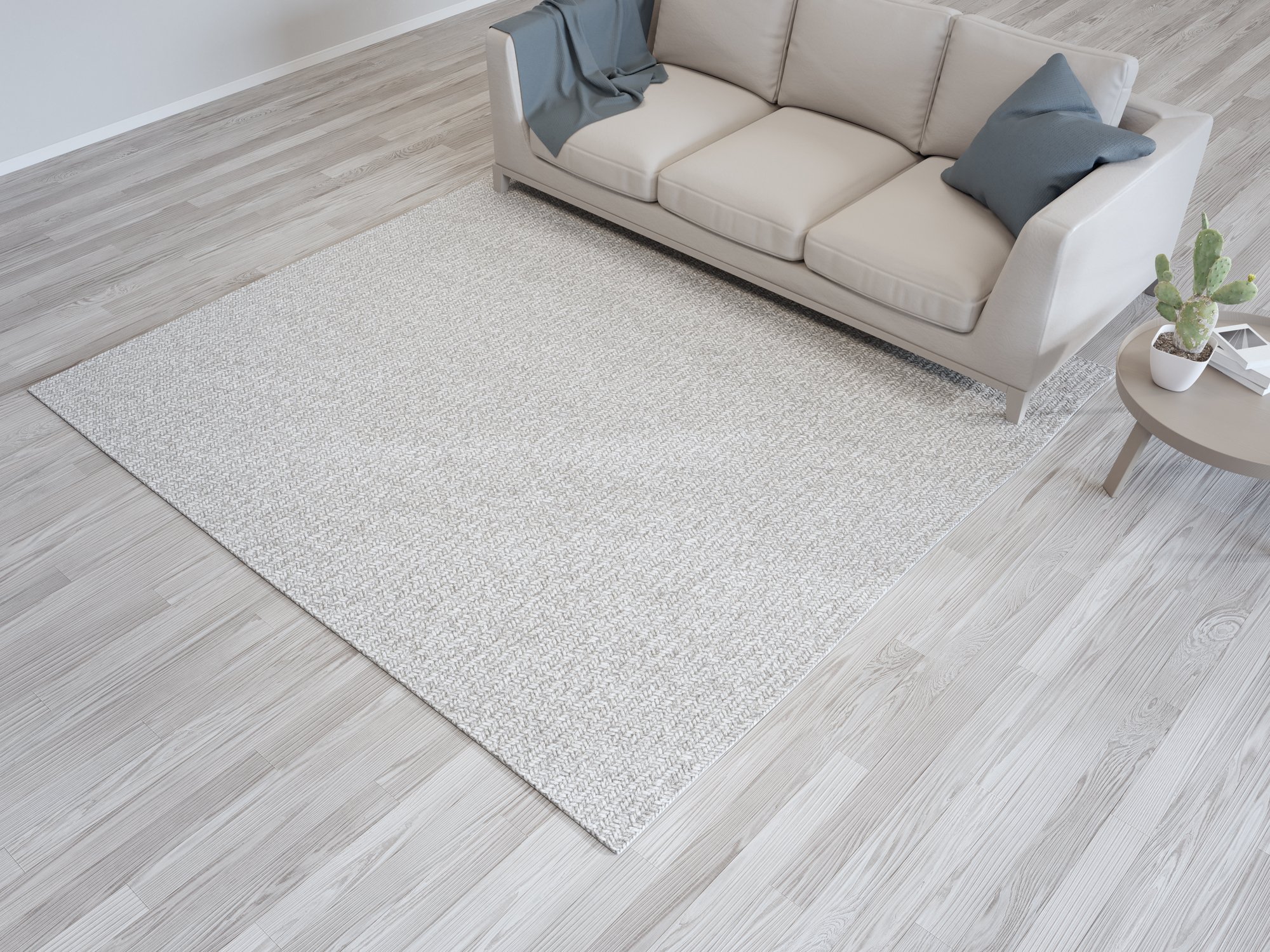 Un canapé et un tapis à la maison. | Photo : Getty Images
