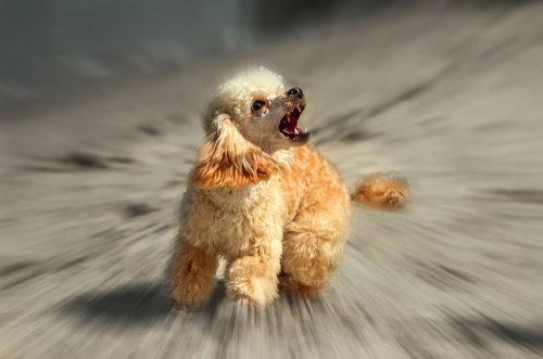 Quelle: Shutterstock
