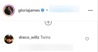 A fan's comment about Gloria James's Instagram post | Photo: Instagram/gloriajames