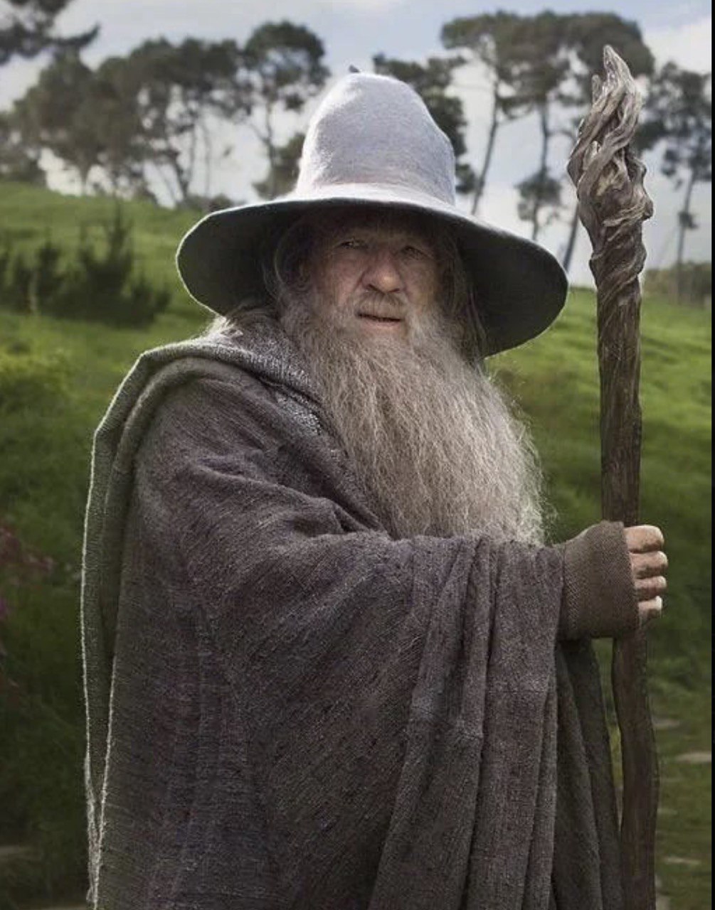 In "The Fellowship of the Ring," Ian McKellen brought gravitas and warmth to Gandalf the Grey, the wise and weathered wizard whose arrival marked the beginning of Frodo's journey. With a towering staff, flowing grey robes and that unmistakable hat, McKellen's portrayal became instantly iconic — a guide, protector and hero rolled into one. | Source: The Fellowship of the Ring