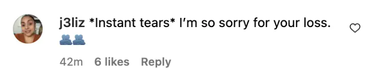 Fan comment about Matt LeBlanc's tribute, dated November 14, 2023 | Source: Instagram/mleblanc