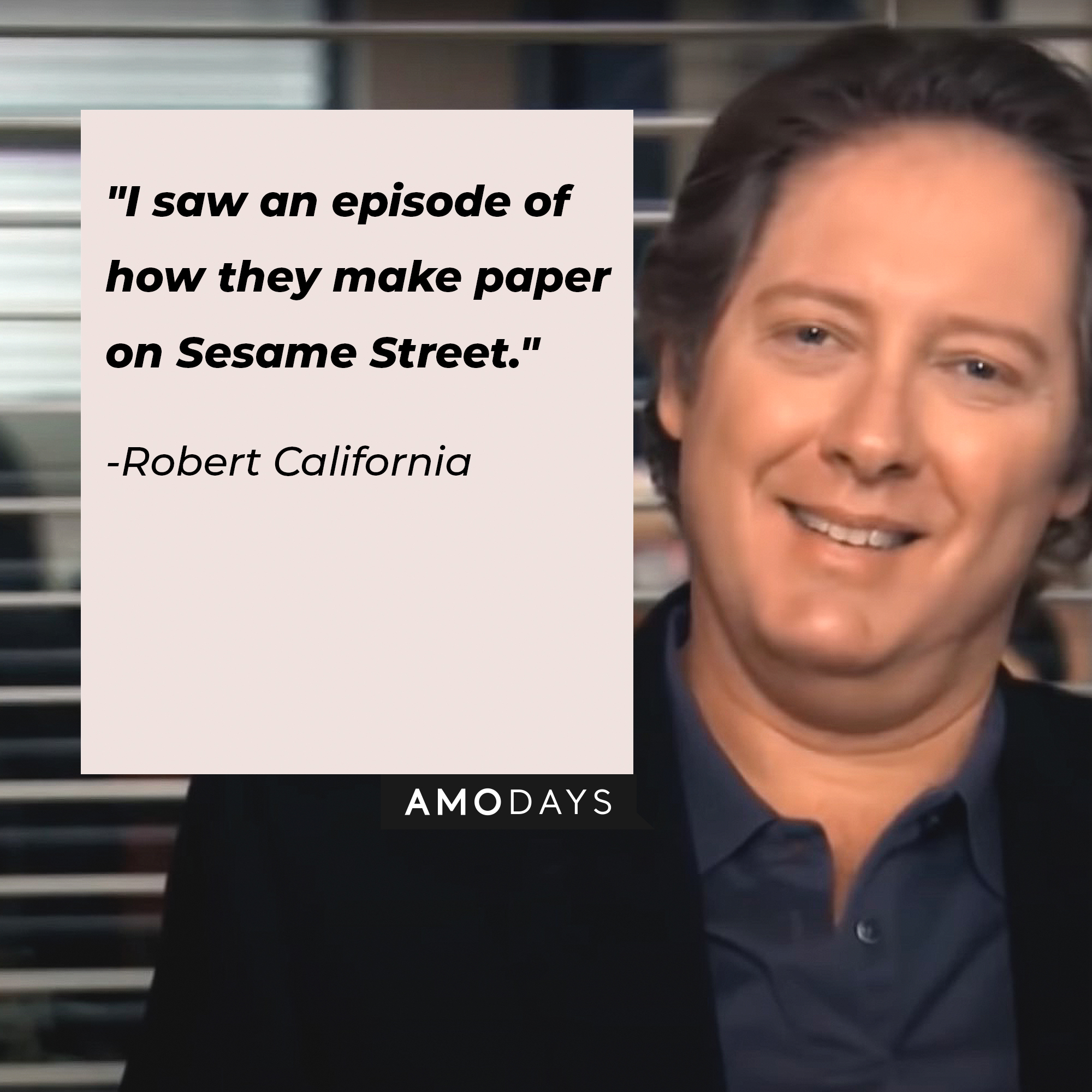 Robert California's quote: "I saw an episode of how they make paper on Sesame Street." | Image: AmoDays