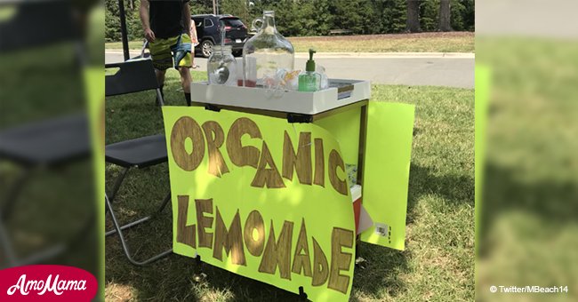 9-year-old boy's lemonade stand robbed at 'gun point'
