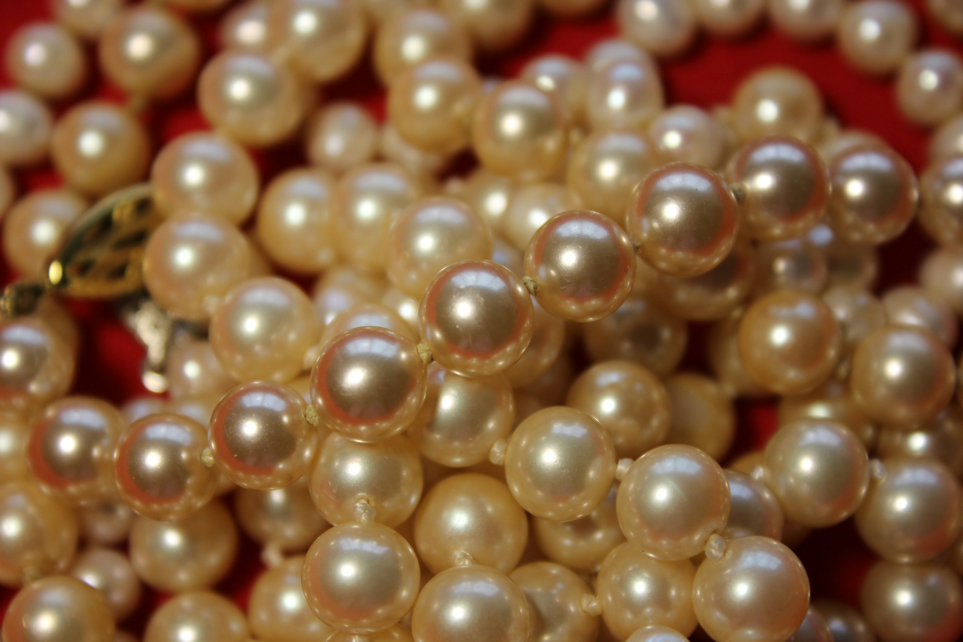 Close-up shot of pearls | Source: Unsplash