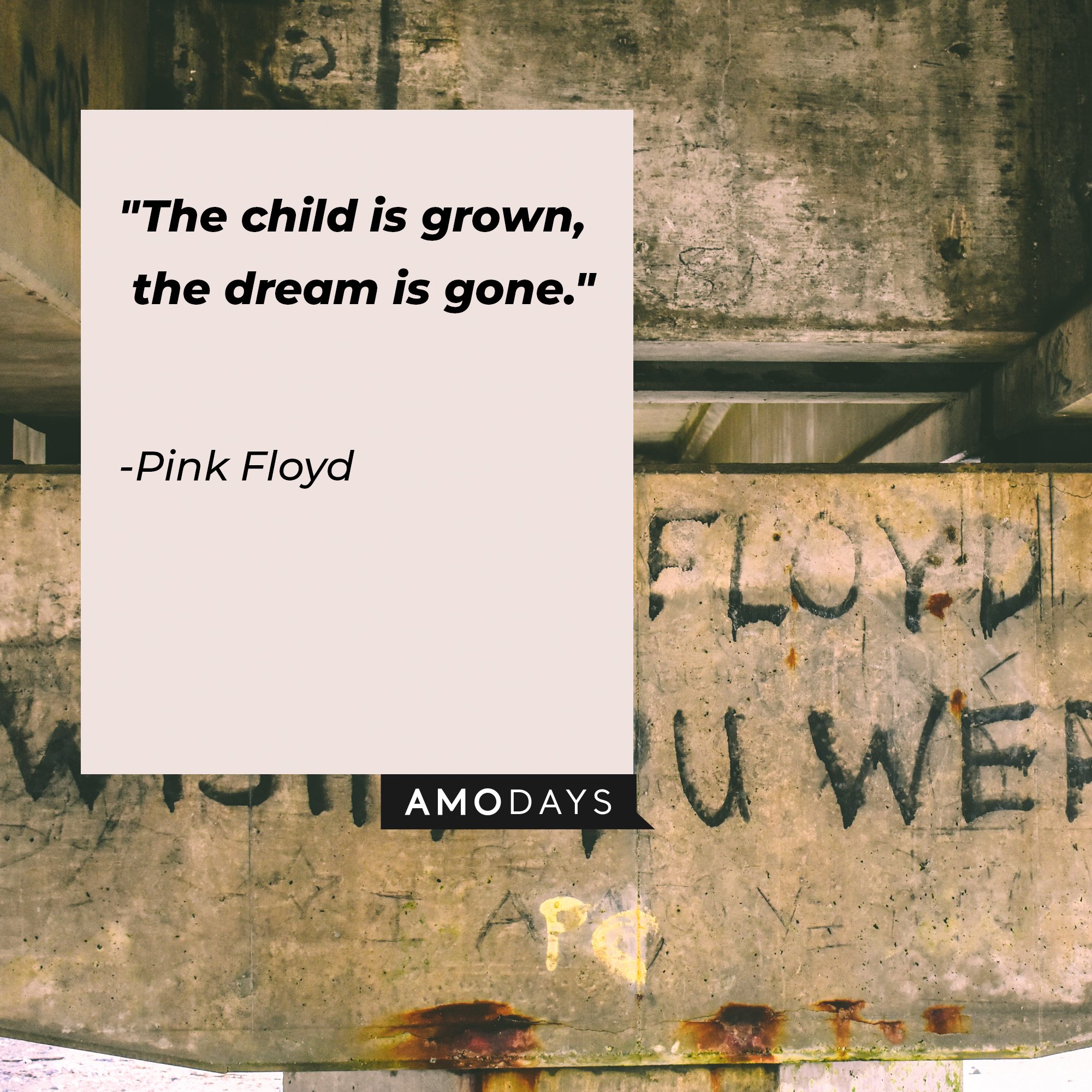 Pink Floyd's quote: "The child is grown, the dream is gone." | Image: AmoDays
