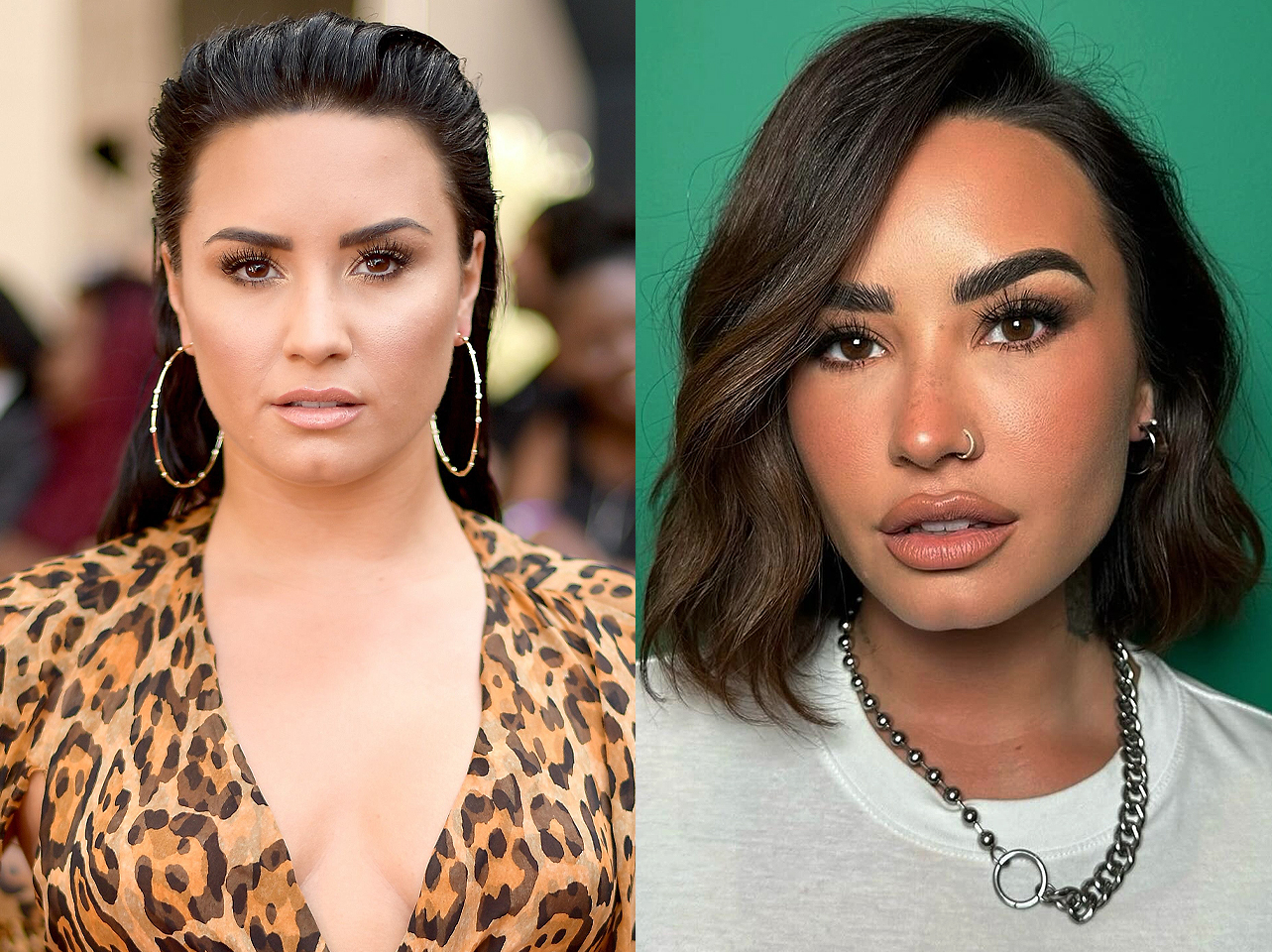 Demi Lovato | Source: Getty Images | Facebook/Demi Lovato