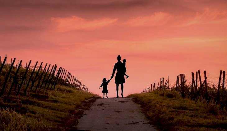 Imagen tomada de Pixabay Imagen tomada de Pixabay
