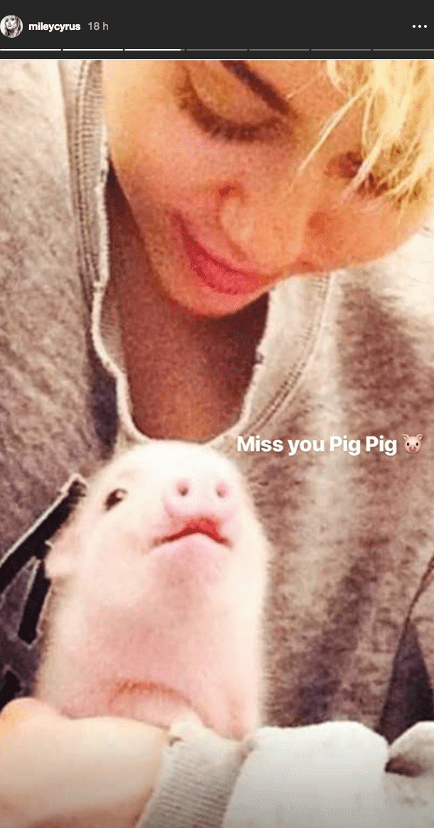 Miley Cyrus and Pig Pig back in 2015. I Image: Instagram/mileycyrus