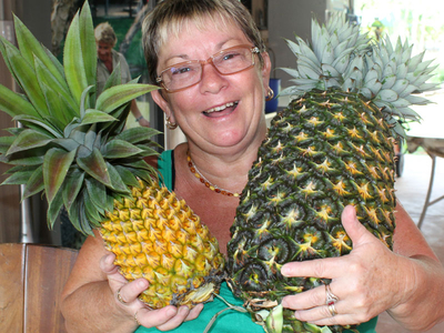 The world's largest pineapple grown by Christine McCallum in 2011.| Source: World Record Academy
