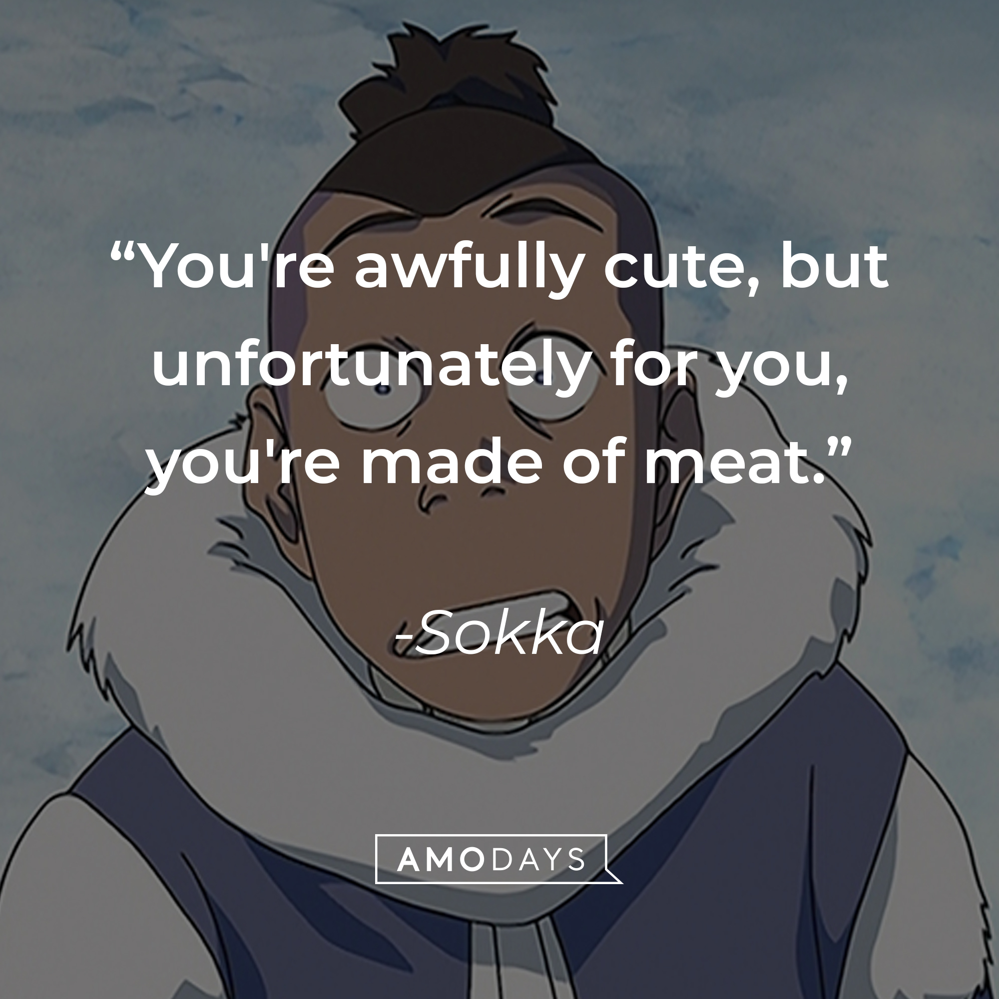 Sokka's quote: "You're awfully cute, but unfortunately for you, you're made of meat." | Source: facebook.com/avatarthelastairbender