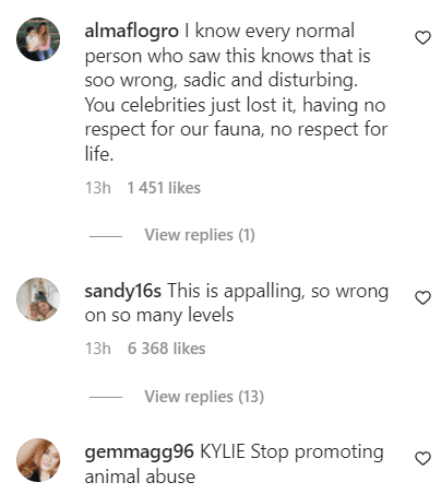 Comments from Instagram users. | Source: Instagram.com/Schiaperelli 