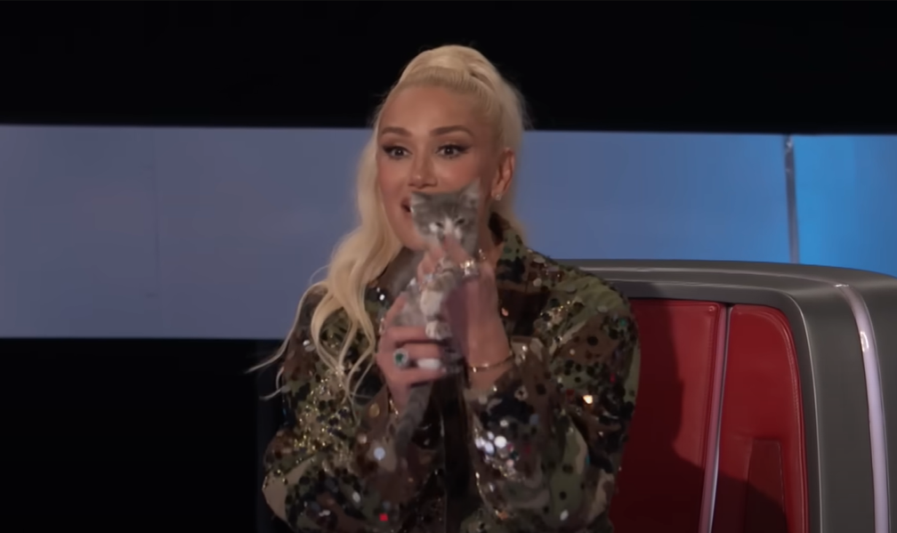 Gwen Stefani shows a kitten to Sydney Sterlace after her performance on "The Voice" on September 23, 2024 | Source: YouTube/The Voice