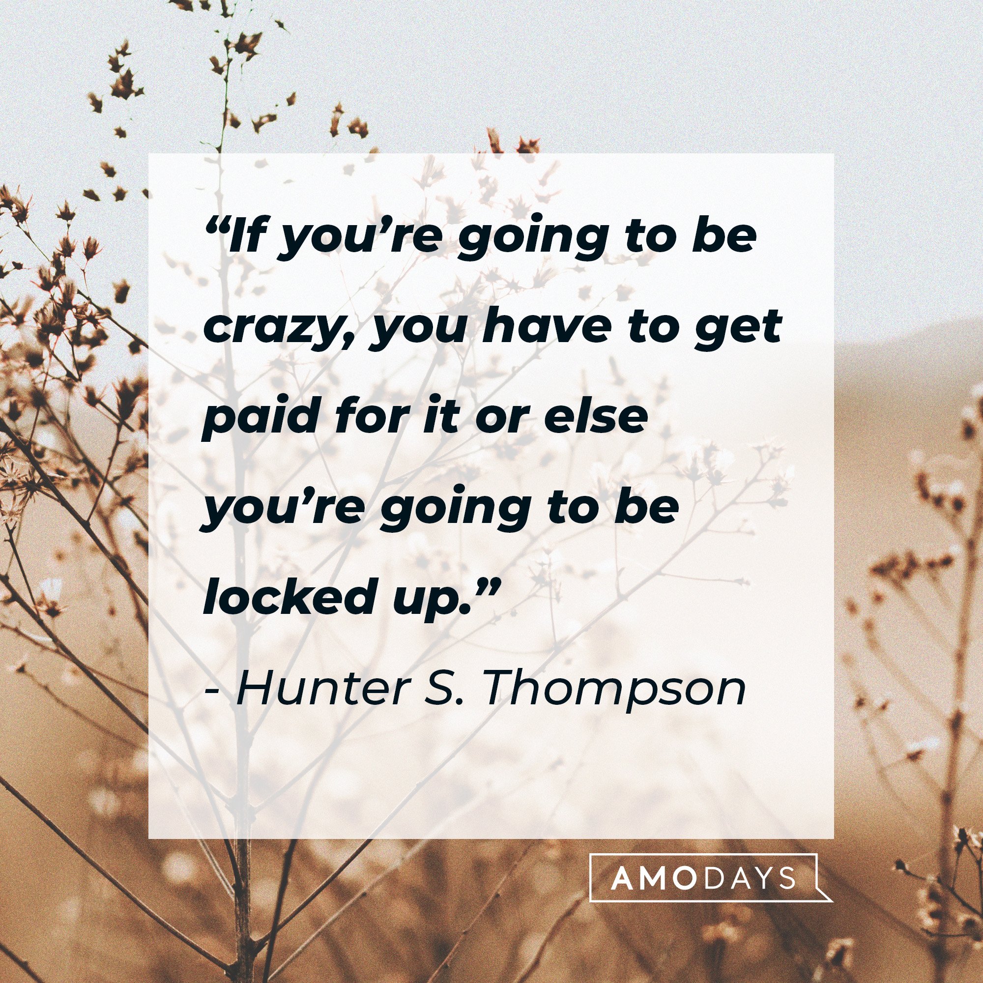 Hunter S. Thompson’s quote: “If you’re going to be crazy, you have to get paid for it, or else you’re going to be locked up.”  | Image: AmoDays