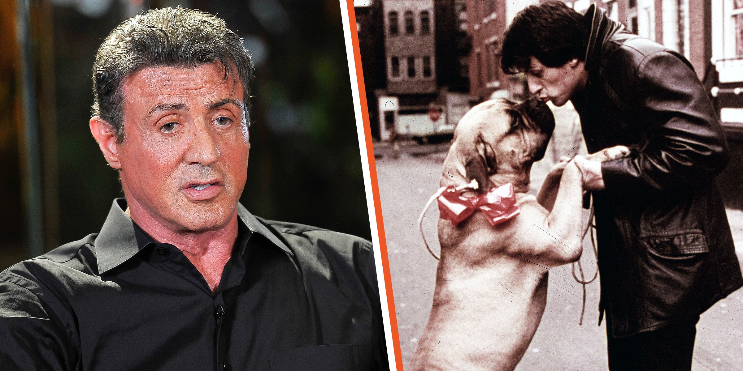 Sylvester Stallone | Sylvester Stallone with his dog Butkus | Source: Getty Images  