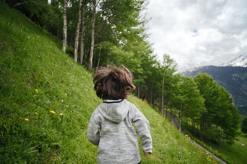 Image d'un enfant en forêt  | Photo : Pexels