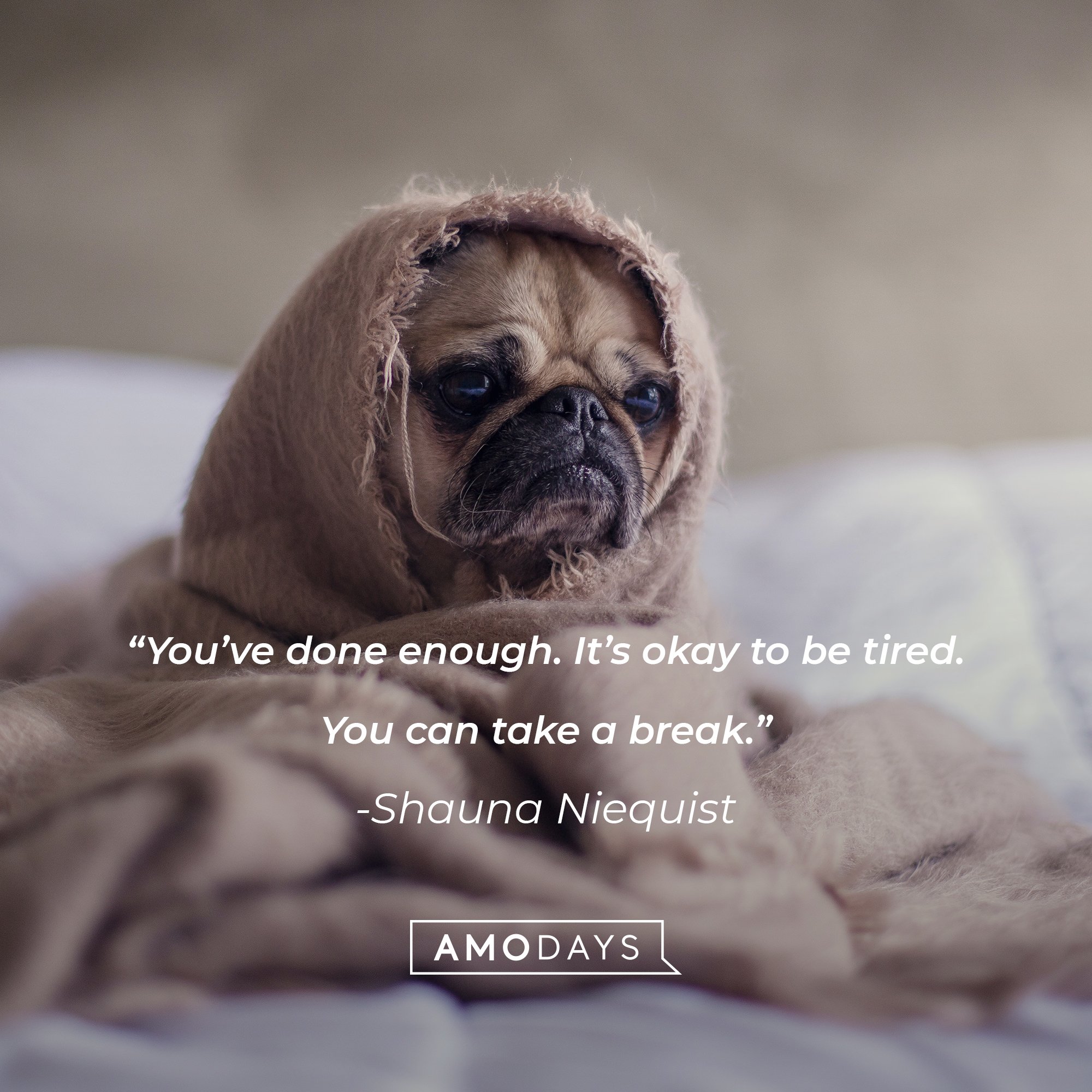 Shauna Niequist's quote: "You've done enough. It's okay to be tired. You can take a break." | Image: AmoDays