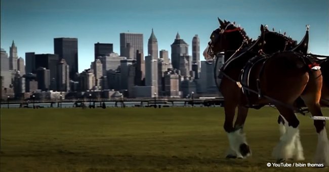 The heartbreaking story behind 9/11 commercial that only aired once