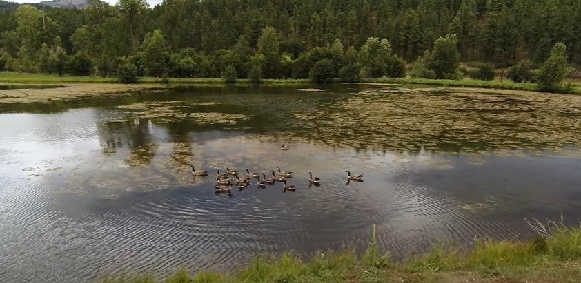 A tour of Patrick Swayze and Lisa Niemi's dream ranch | Photo: Youtube/Chas. S. Middleton & Sons