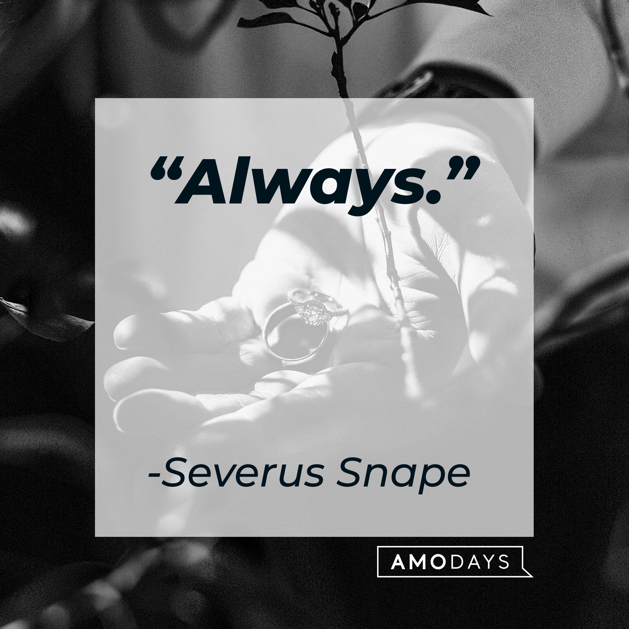 Severus Snape’s quote: “Always.” | Image: AmoDays