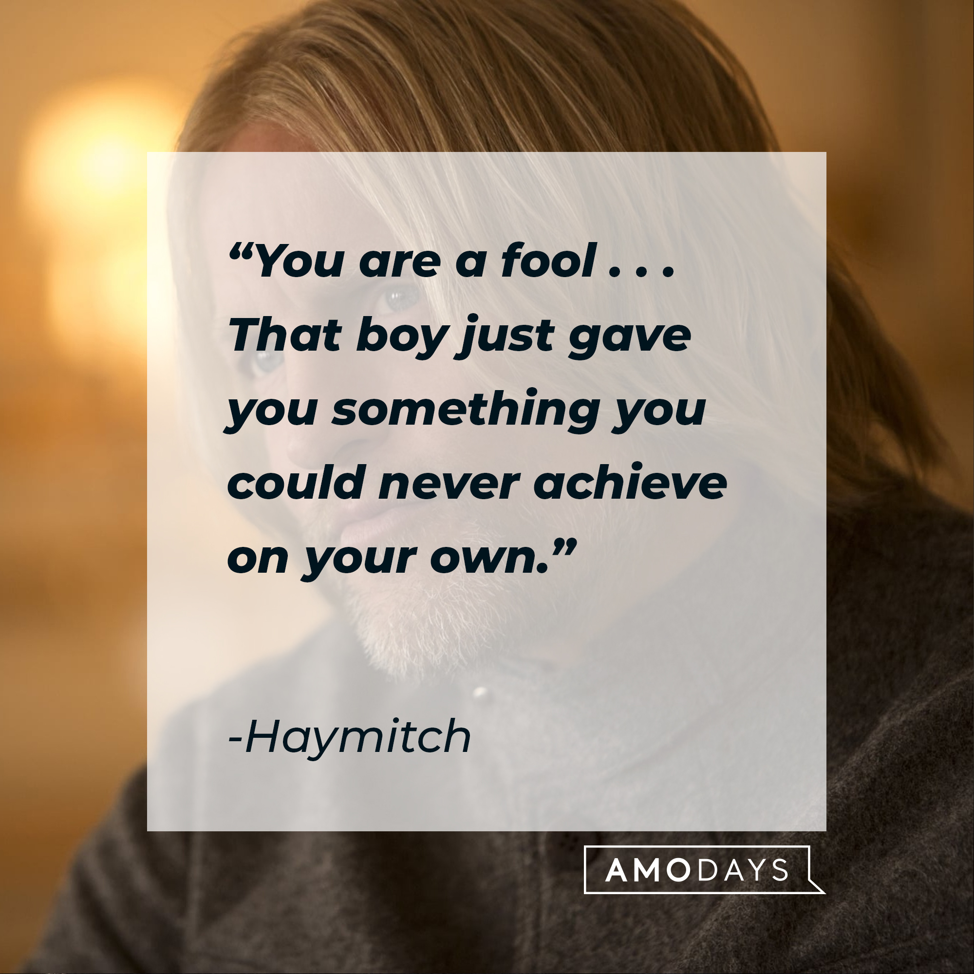 24-haymitch-quotes-from-the-winner-of-the-50th-hunger-games