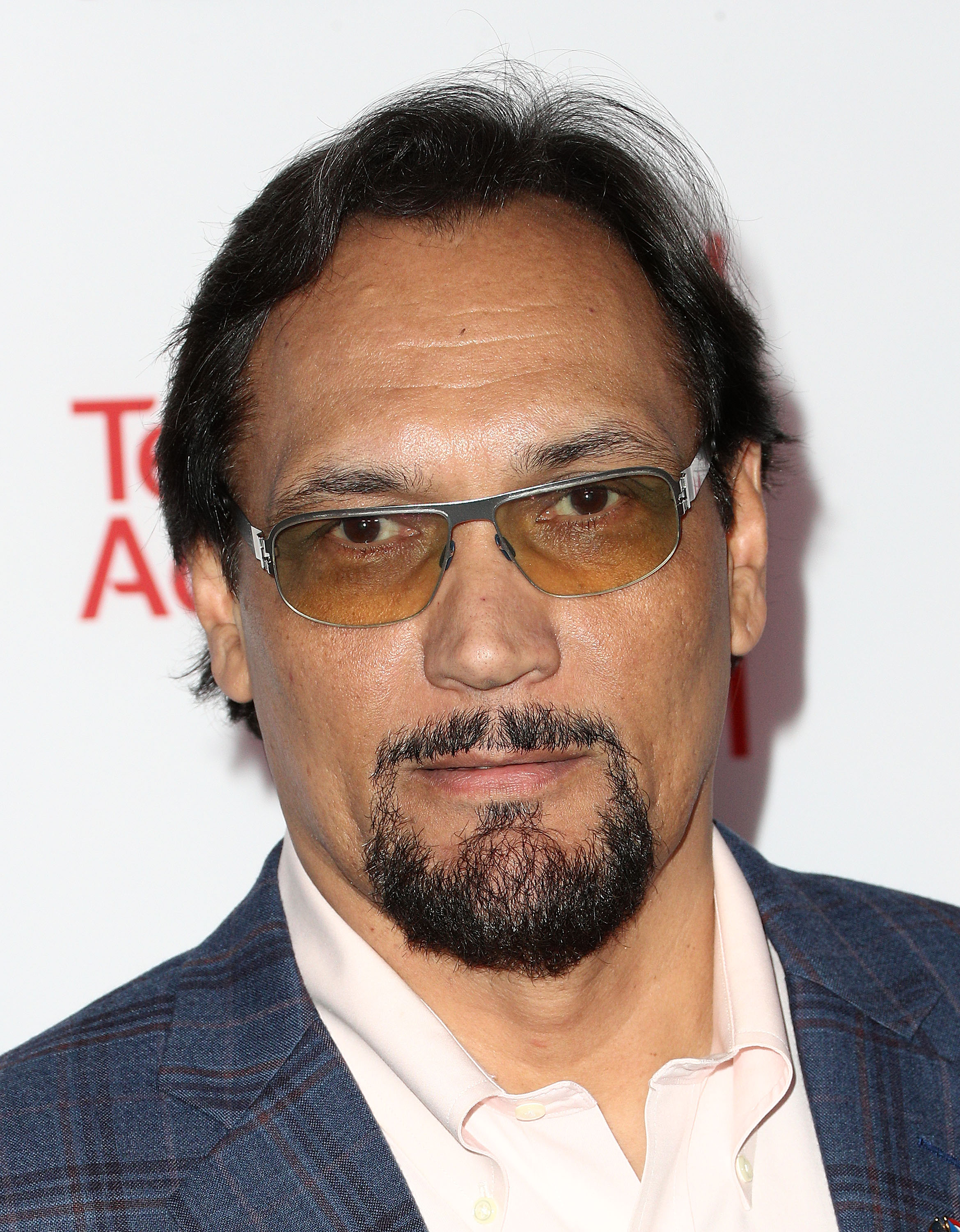 Jimmy Smits at the Television Academy's 24th Hall of Fame Ceremony at the Saban Media Center on November 15, 2017, in North Hollywood, California. | Source: Getty Images