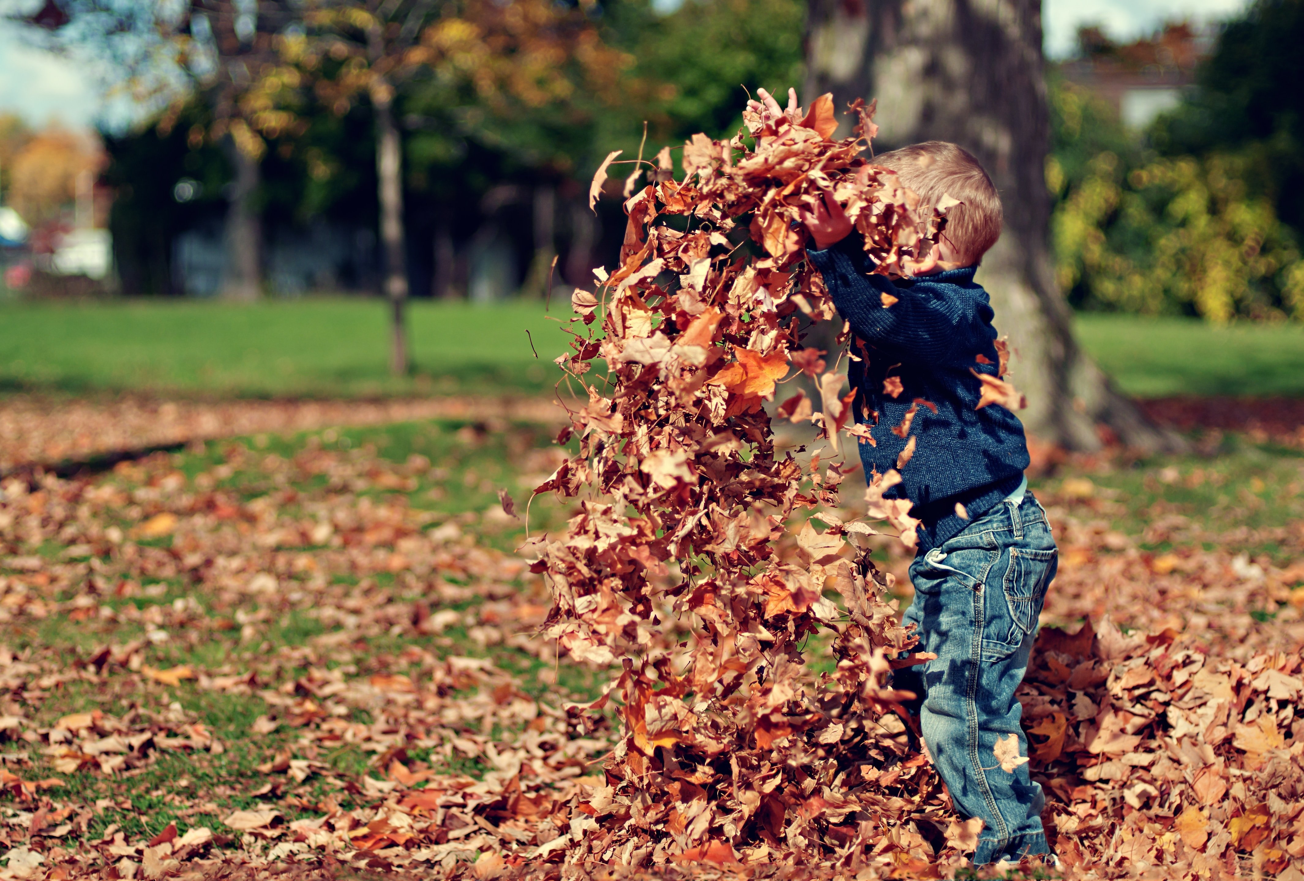 A child playing with the raked leaves | Source: Unsplash.com