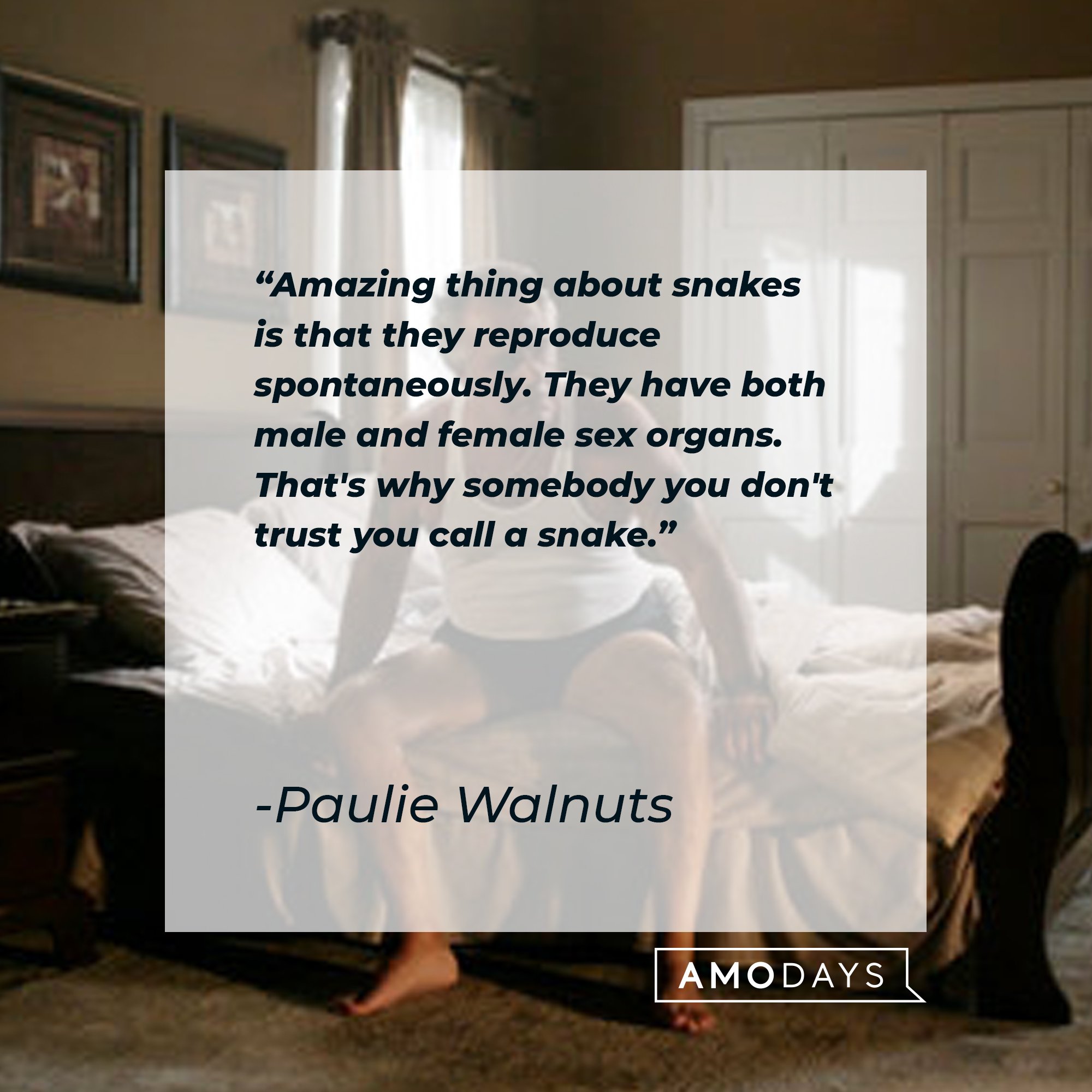 Paulie Walnuts' quote: "Amazing thing about snakes is that they reproduce spontaneously. They have both male and female sex organs. That's why somebody you don't trust you call a snake." | Image: AmoDays 