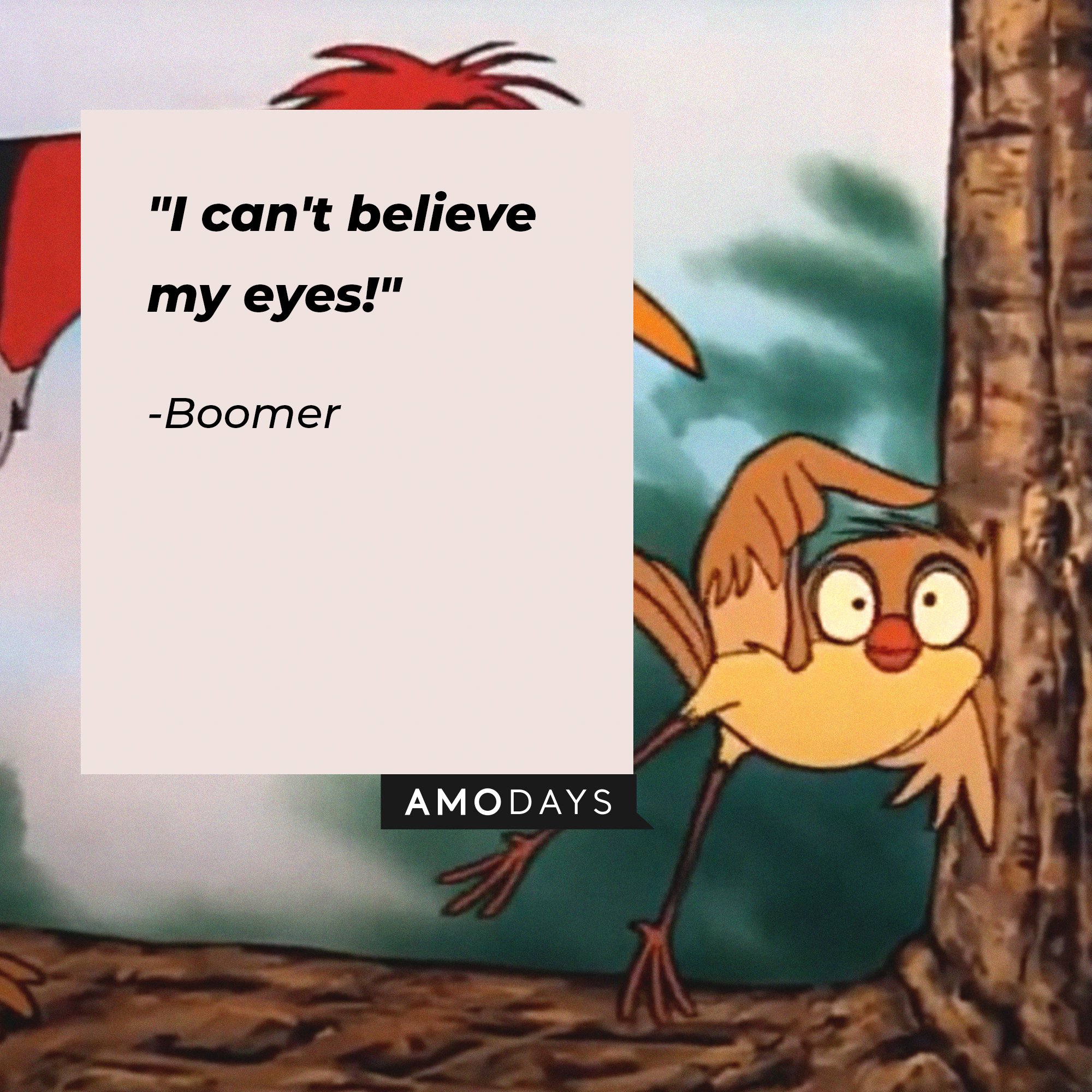 Boomer’s quote: "I can't believe my eyes!" | Image: AmoDays