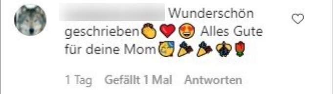 Kommentar von Davinas Fan unter ihren Glückwünschen an ihre Mutter zu ihrem Geburtstag. I Quelle: instagram.com/the_real_davina_geiss