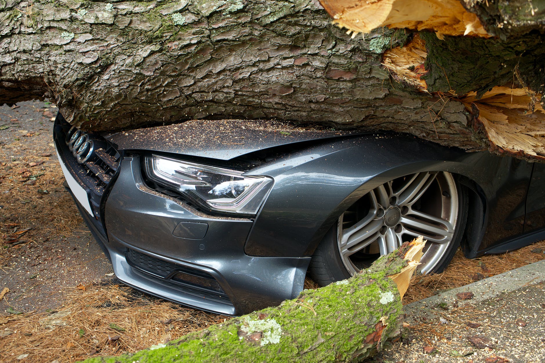 A car had crashed into a tree. | Source: Pexels