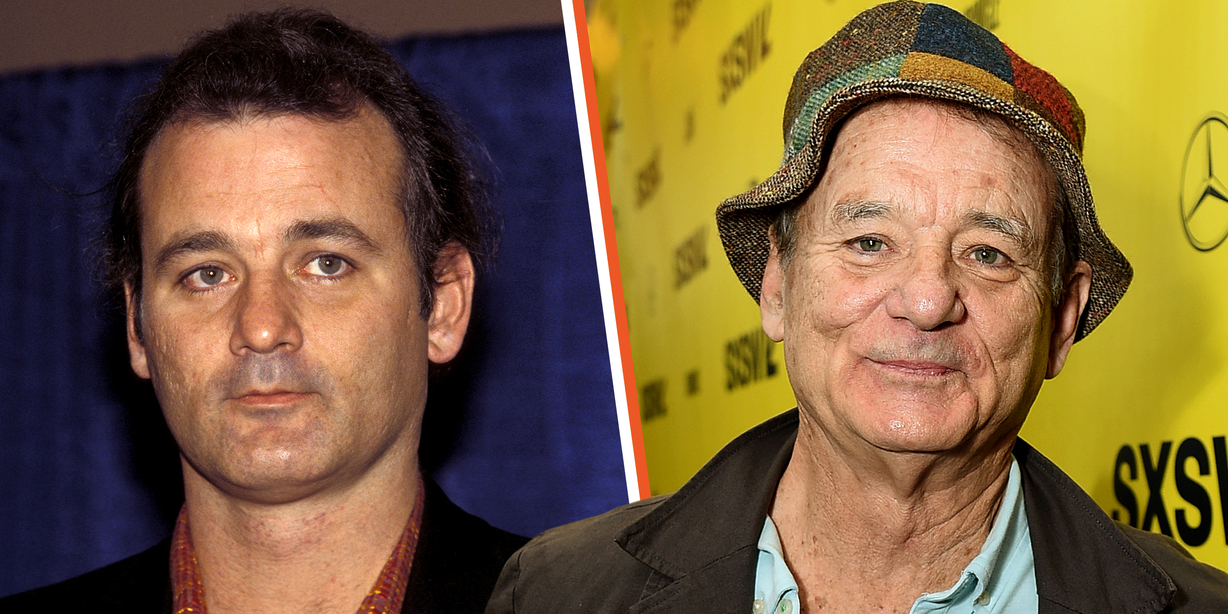Bill Murray | Source: Getty Images