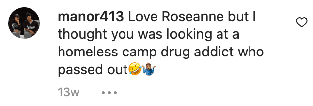 Comments under a picture posted by Roseanne Barr about her home | Instagram.com/Roseanne Barr 