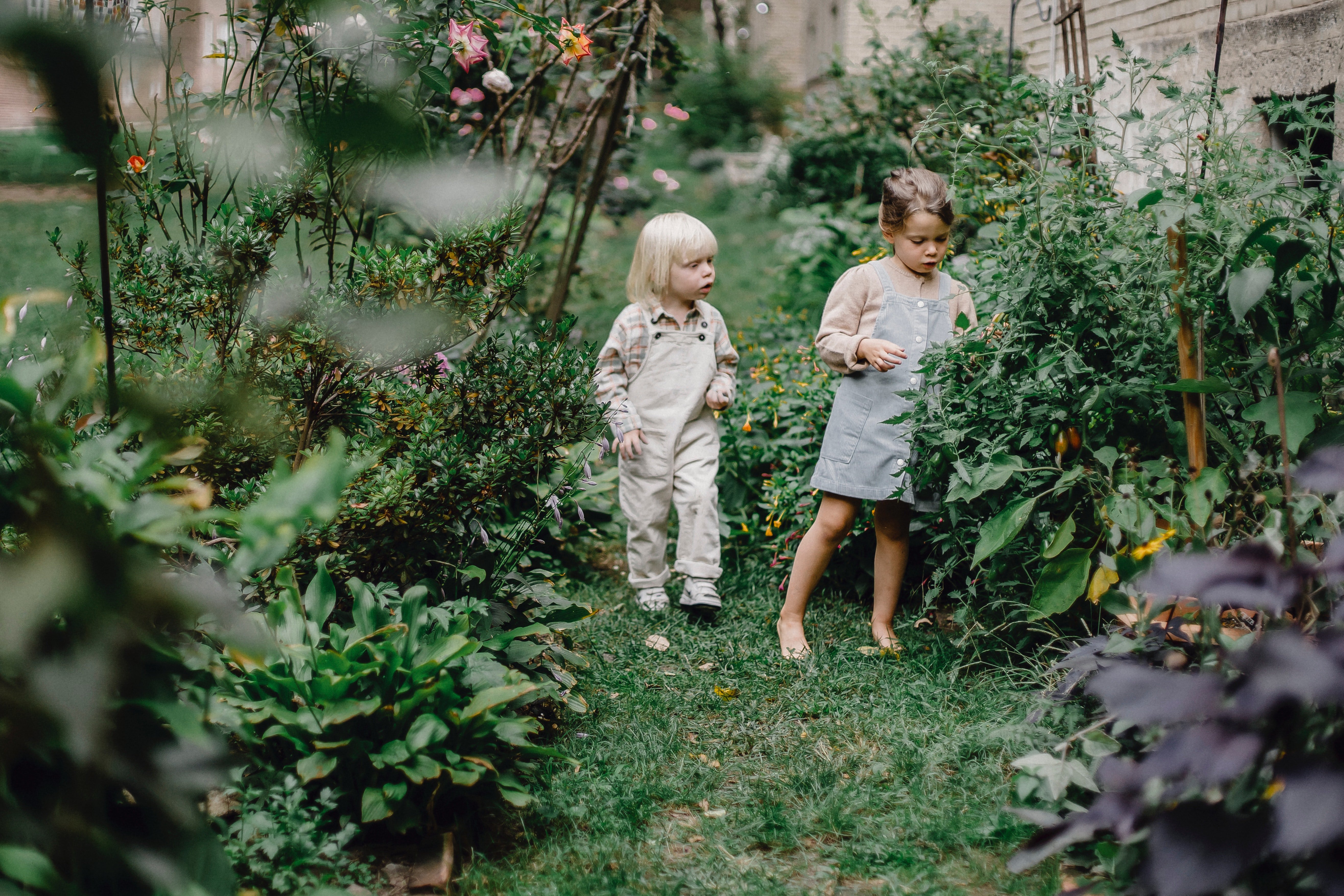 Beth and Lily often helped Victor with his garden. | Source: Pexels