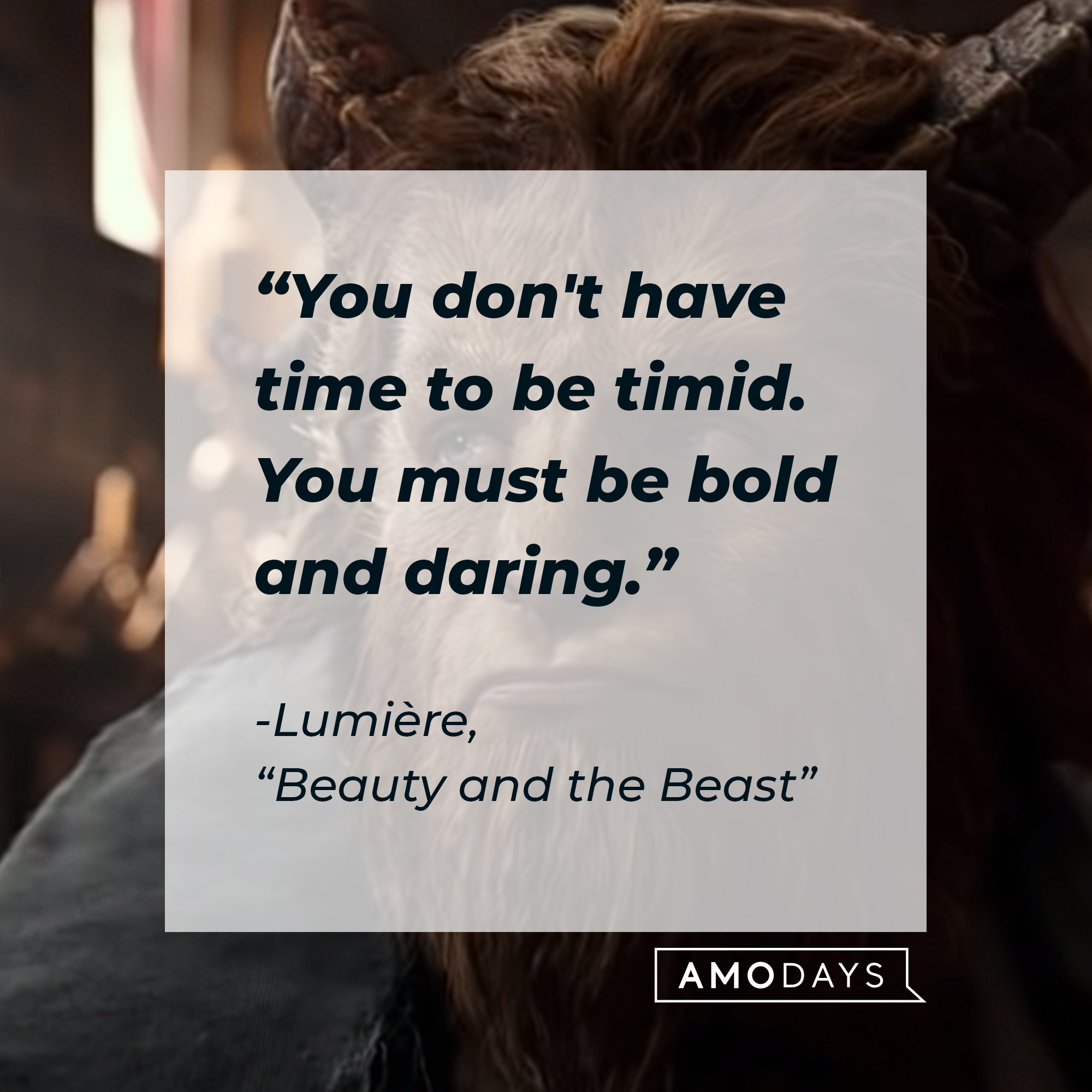 Lumière's "Beauty and the Beast" quote: "You don't have time to be timid. You must be bold and daring." | Source: Youtube.com/DisneyMovieTrailers