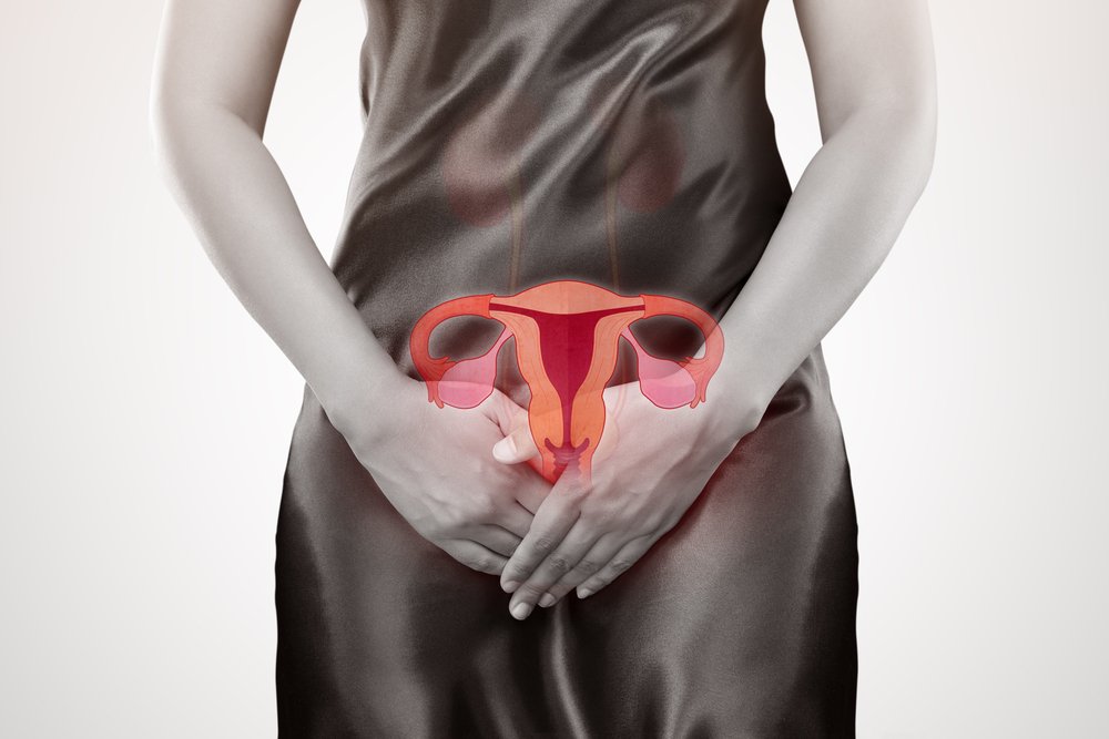 Le système reproducteur féminin. l Source : Shutterstock Le système reproducteur féminin. l Source : Shutterstock