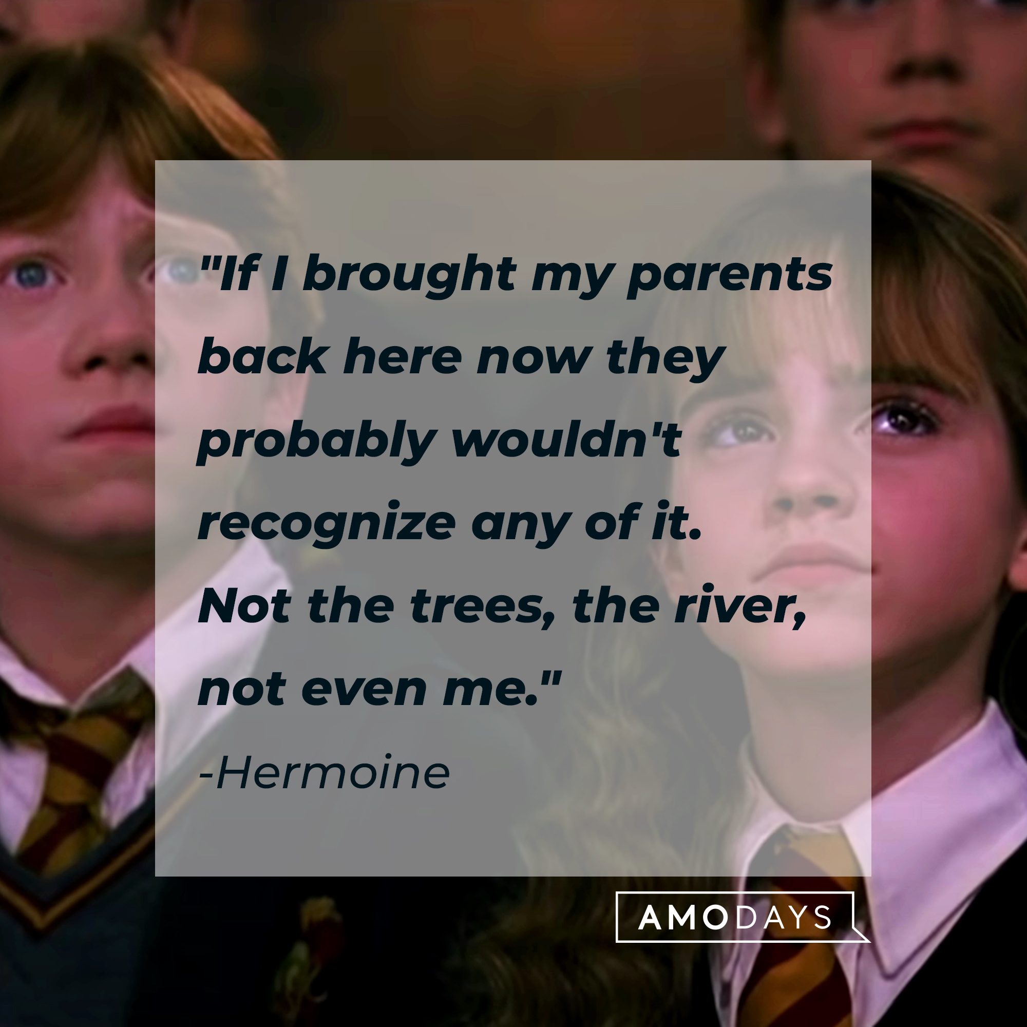 A photo of young Ron and Hermoine with Hermoine's quote, "If I brought my parents back here now they probably wouldn't recognize any of it. Not the trees, the river, not even me." | Source: YouTube/harrypotter