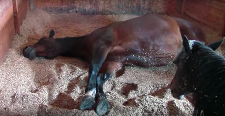Quelle: Source: Youtube/ Liz Mitten Ryan