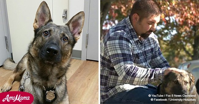 K9 dog diagnosed with neurological disorder but police officer partner tries to save him anyway 