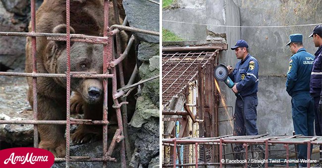 Bears forced to live in flooded cage for 10 years finally rescued