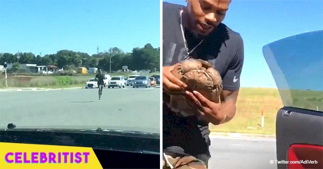 US gold medalist rushing into busy intersection so that he can save a tortoise still touches hearts